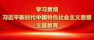 女人被内射大鸡巴操视频学习贯彻习近平新时代中国特色社会主义思想主题教育_fororder_ad-371X160(2)